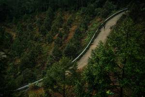 BIB: 
                            <button type="button" onclick="openModal(26297337)" class="btn btn-primary btn-sm float-right btn-popup" data-toggle="modal" data-target=".modal-high-quality">
                        <i class="fas fa-shopping-cart"></i> Add to Cart
                    </button>
                                            <button type="button" onclick="isThisMe(26297337, true)" class="btn btn-success btn-sm float-right btn-popup btn-isme hidden" data-toggle="tooltip" data-placement="bottom" title="นี่คือรูปของคุณใช่ไหม คลิกที่นี่เพื่อเอาเข้าอัลบั้ม">
                        <i class="fas fa-plus"></i> Add to album
                    </button>
                    <button type="button" onclick="isThisMe(26297337, false)" class="btn btn-warning btn-sm float-right btn-popup btn-isnotme hidden">
                        <i class="fas fa-ban"></i> Remove from album
                    </button>